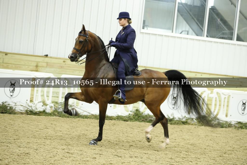 Proof 24R13_10565