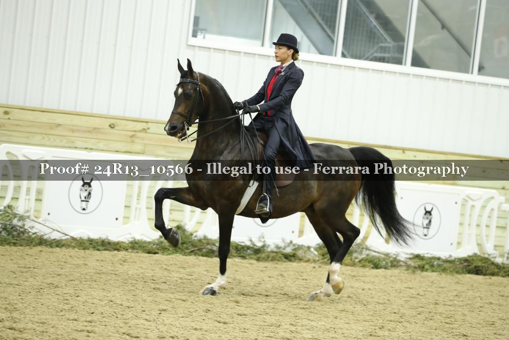 Proof 24R13_10566