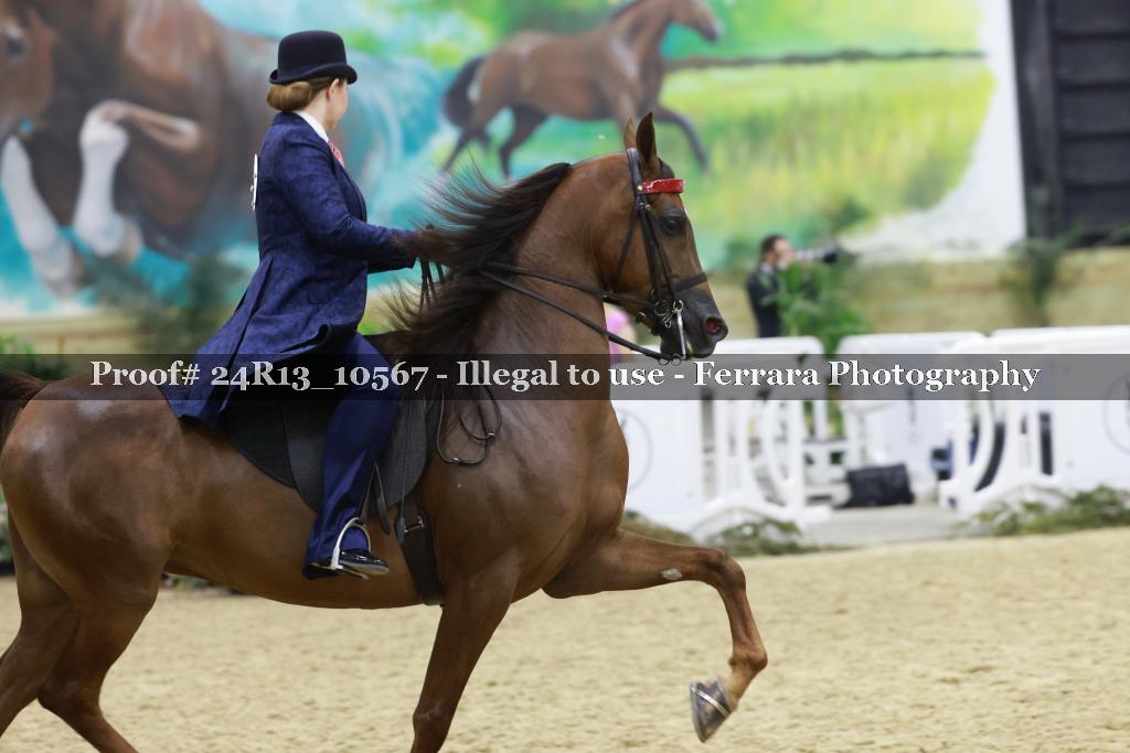Proof 24R13_10567
