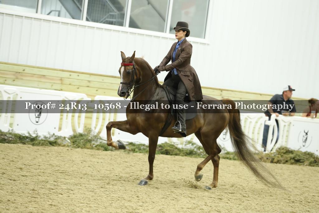 Proof 24R13_10568