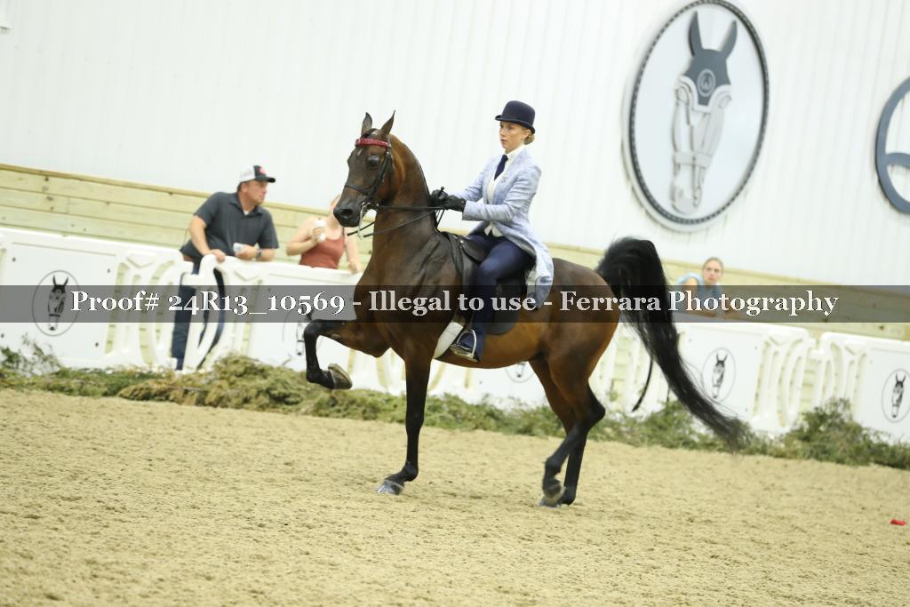 Proof 24R13_10569