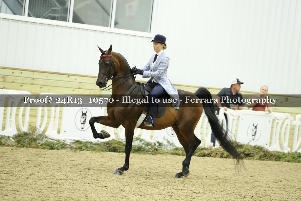 Proof 24R13_10570