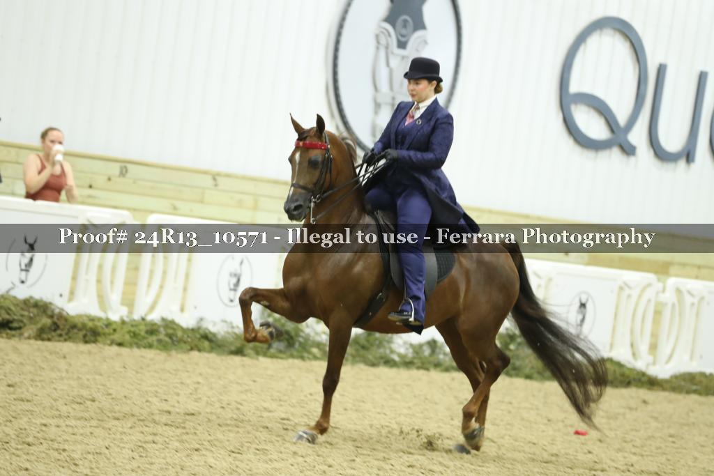 Proof 24R13_10571