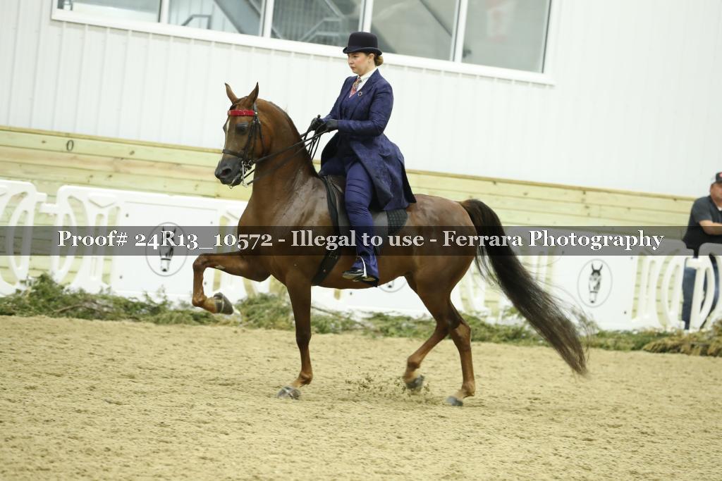 Proof 24R13_10572