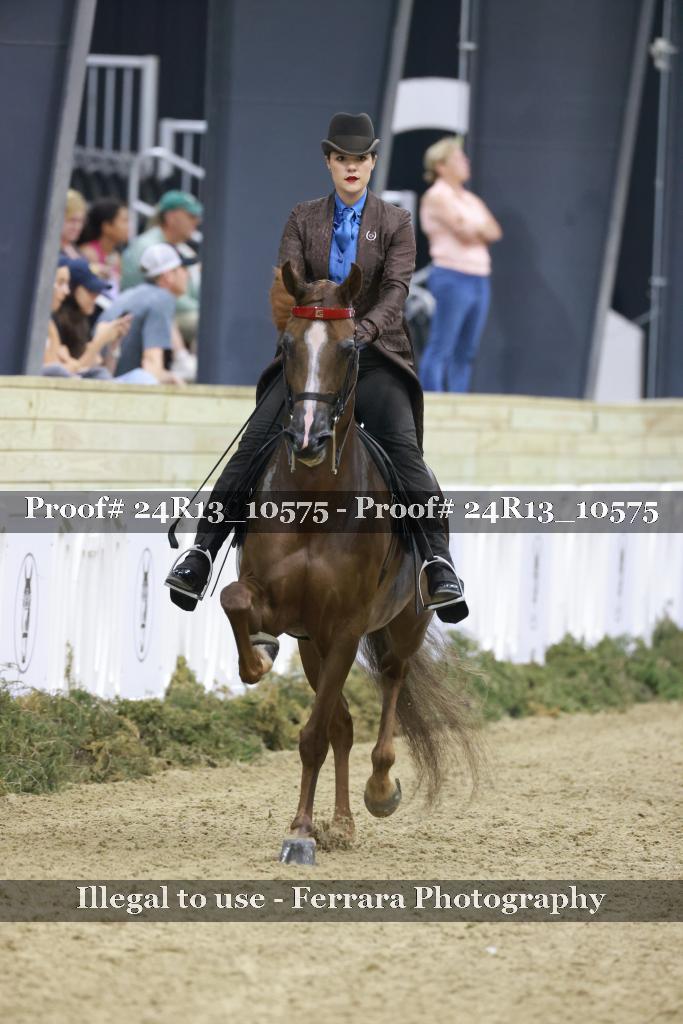 Proof 24R13_10575