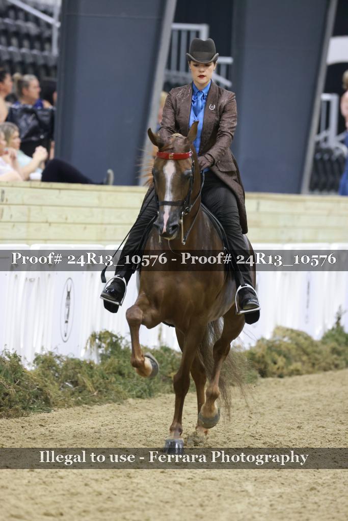 Proof 24R13_10576