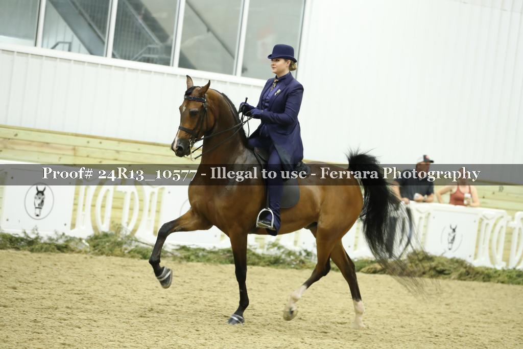 Proof 24R13_10577