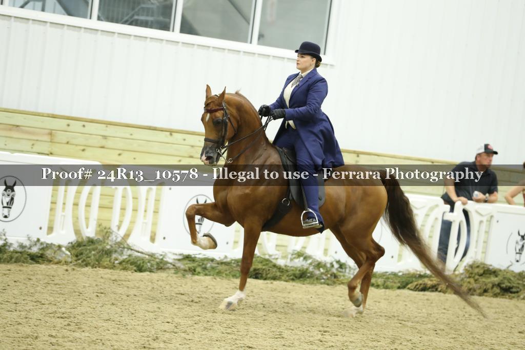 Proof 24R13_10578