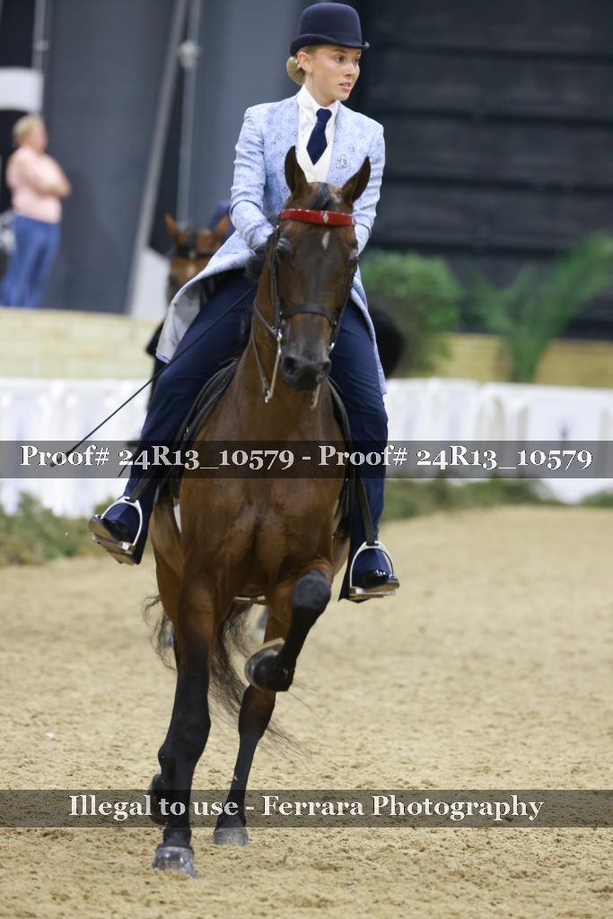 Proof 24R13_10579