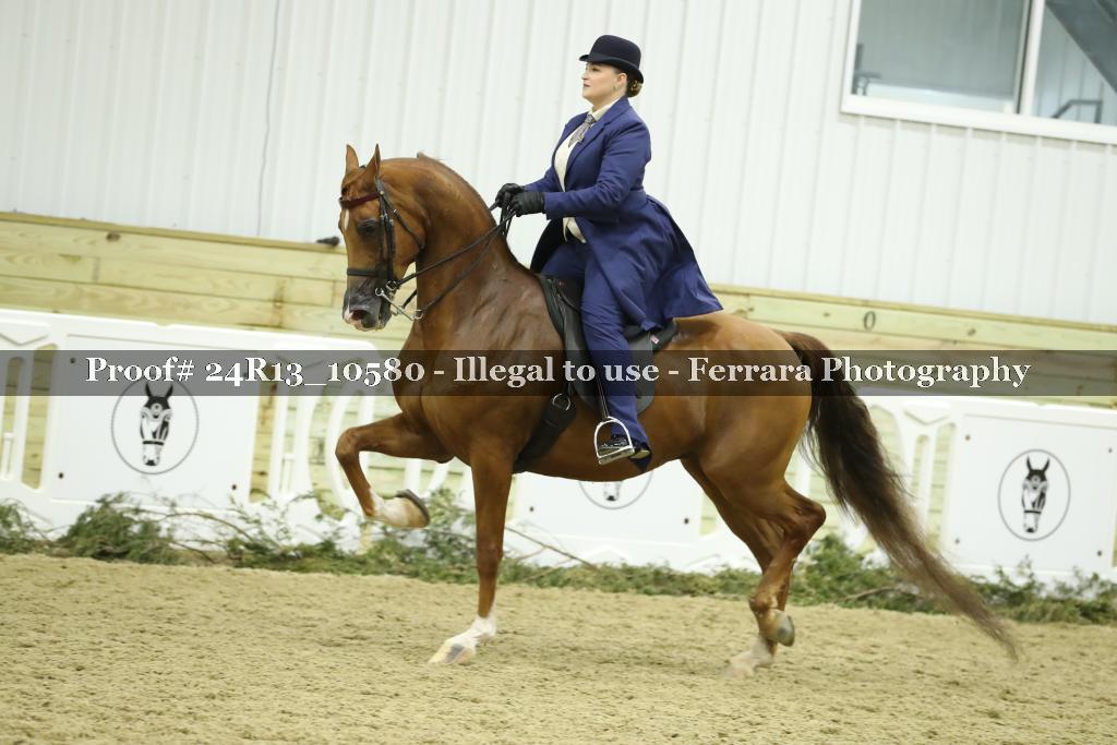 Proof 24R13_10580