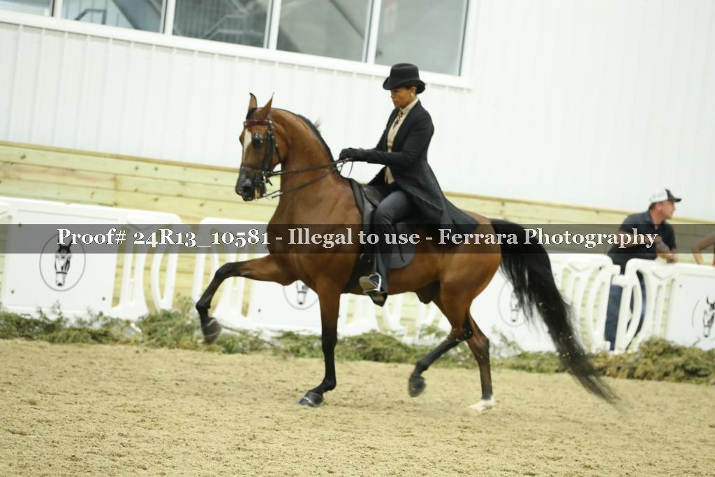 Proof 24R13_10581