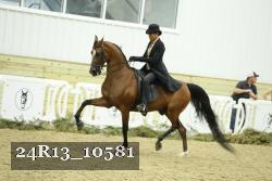 24R13_10581 proof