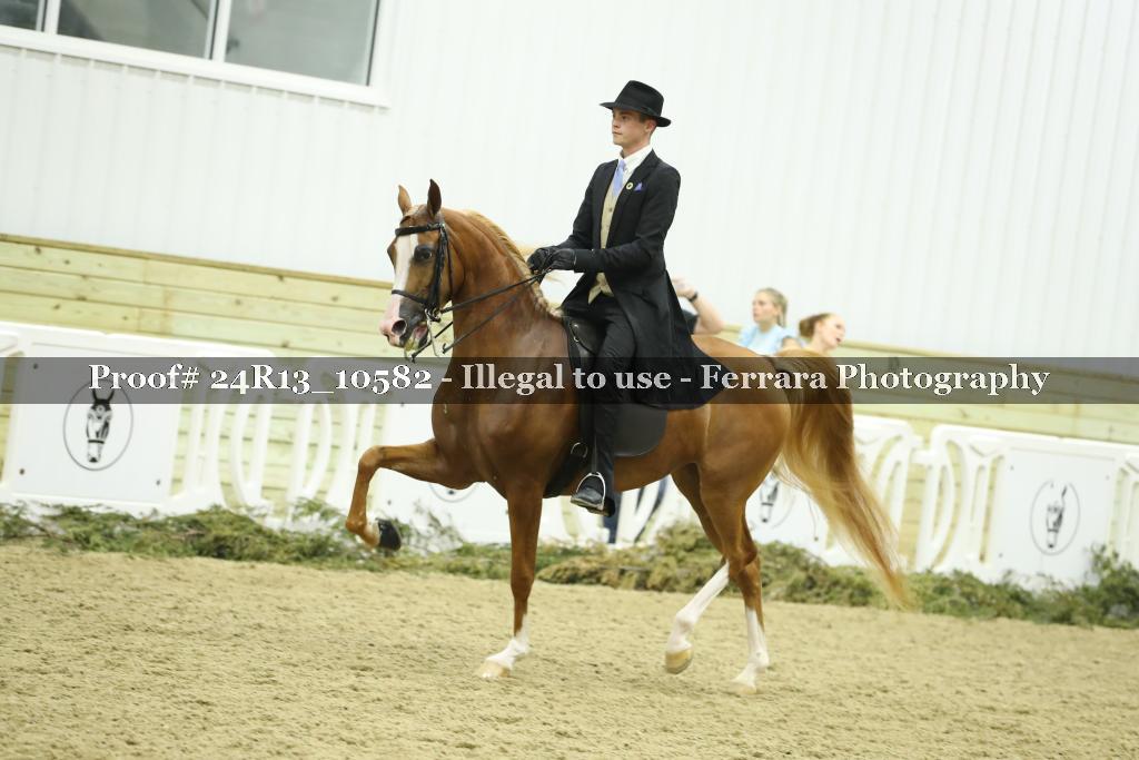 Proof 24R13_10582