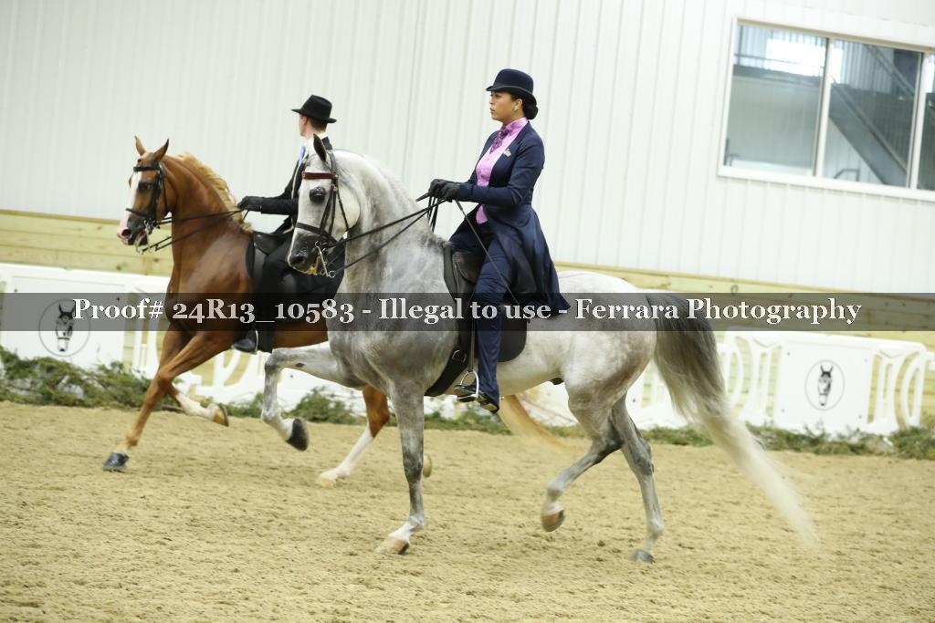 Proof 24R13_10583