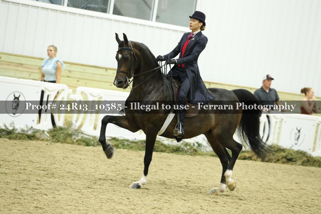 Proof 24R13_10585