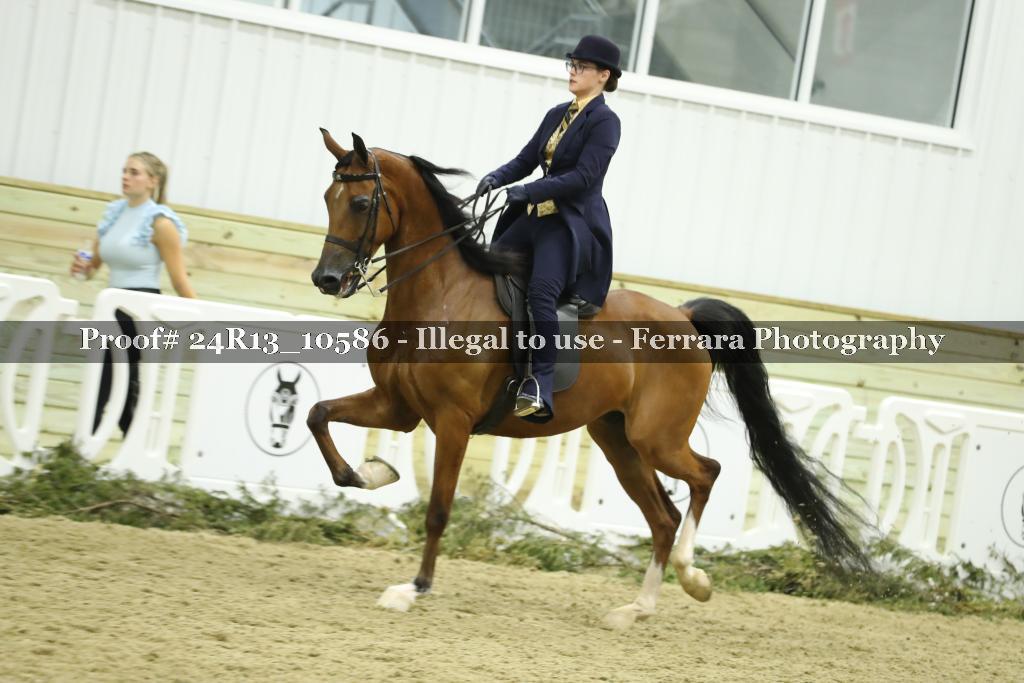 Proof 24R13_10586
