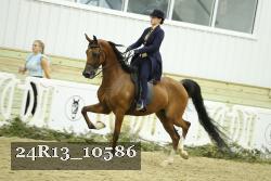 24R13_10586 proof