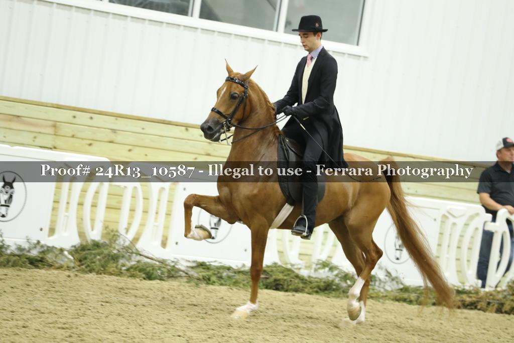Proof 24R13_10587