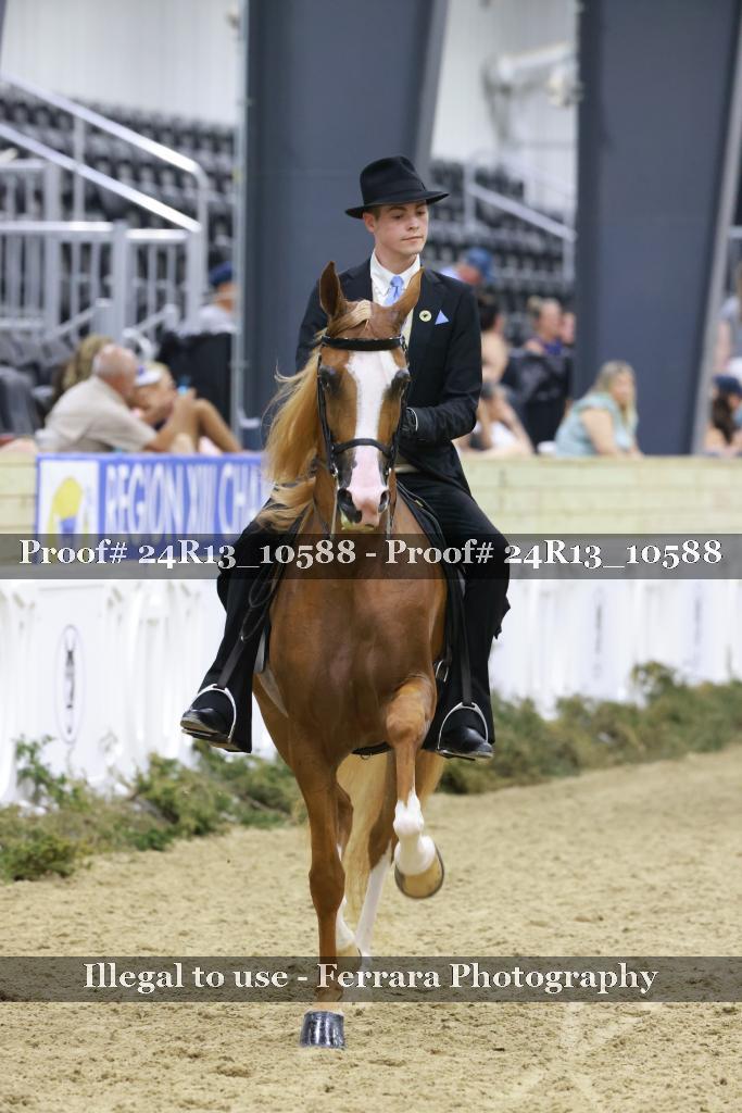 Proof 24R13_10588