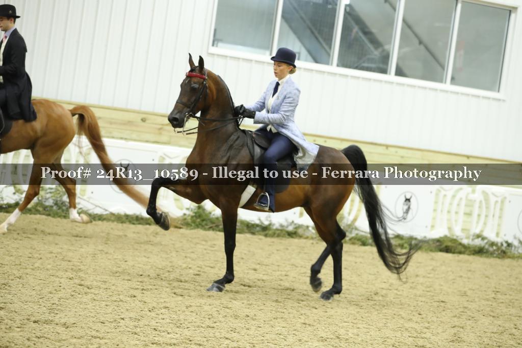 Proof 24R13_10589
