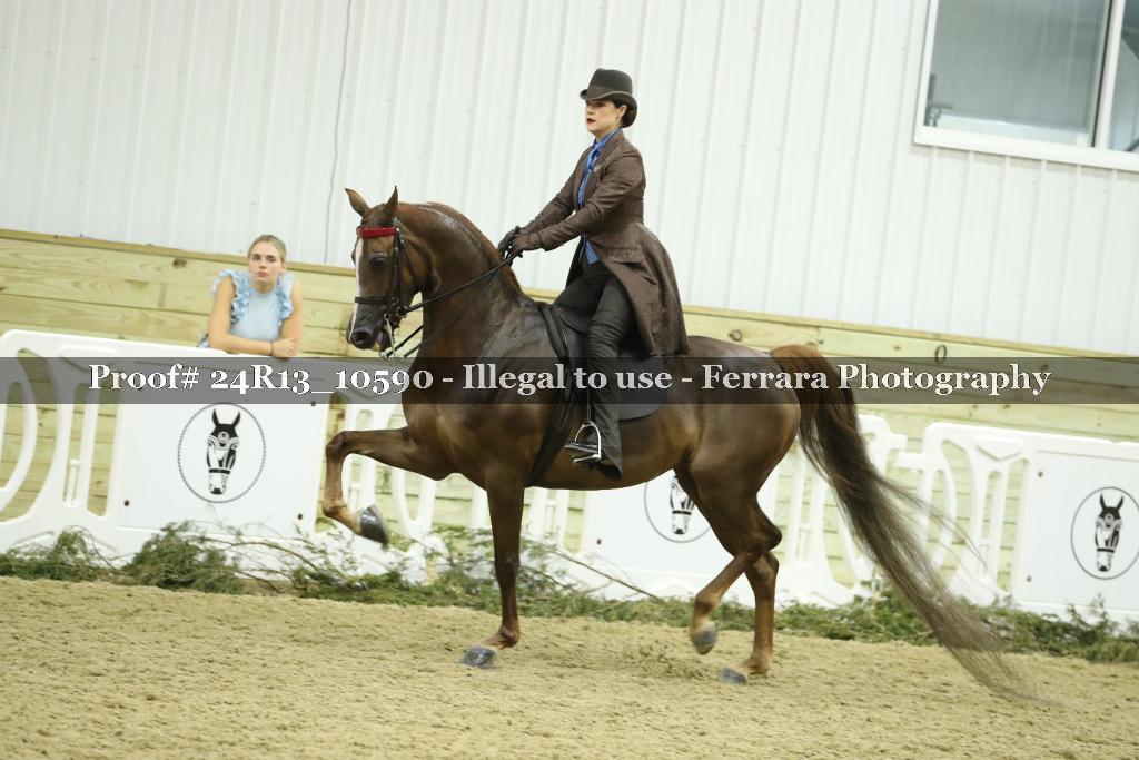 Proof 24R13_10590