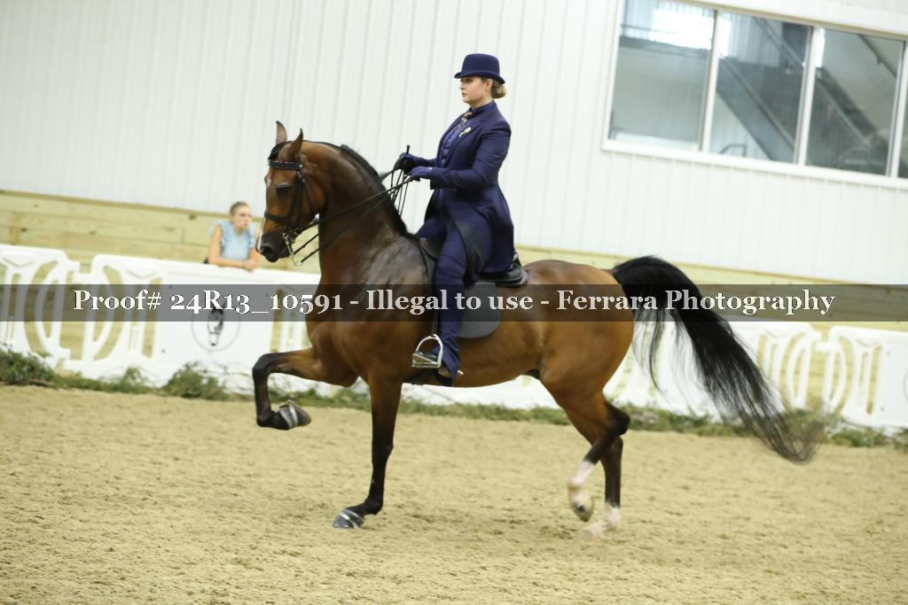 Proof 24R13_10591