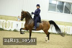 24R13_10591 proof