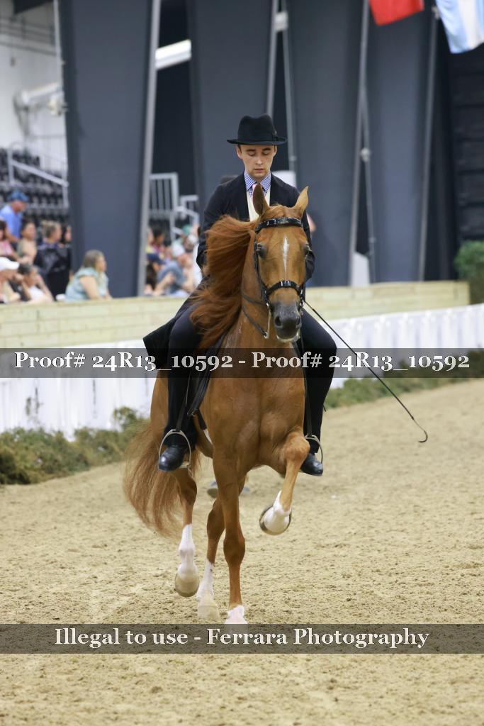 Proof 24R13_10592