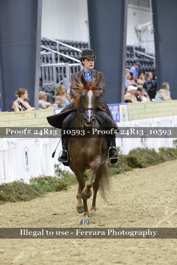 Proof 24R13_10593