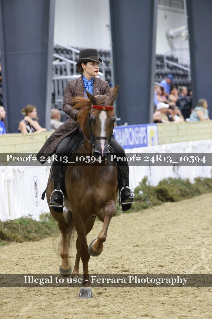 Proof 24R13_10594