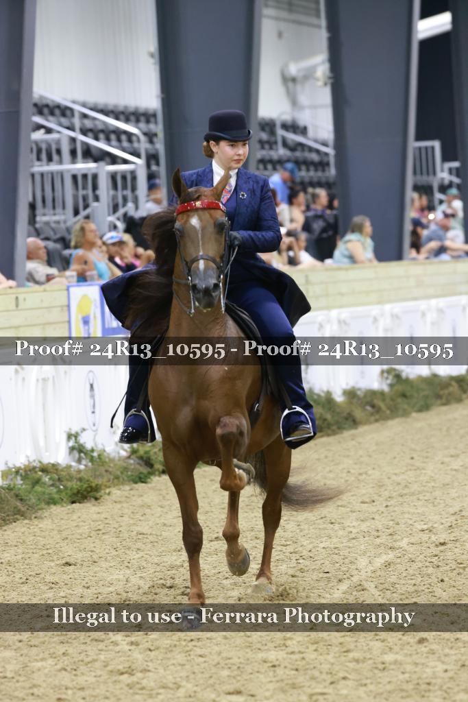 Proof 24R13_10595
