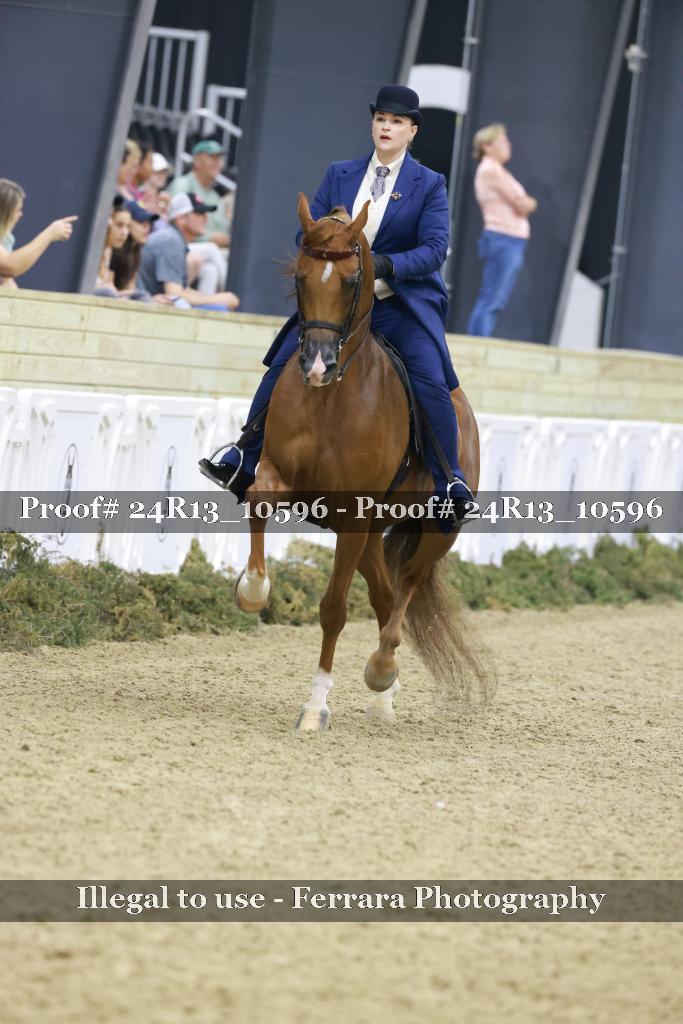 Proof 24R13_10596