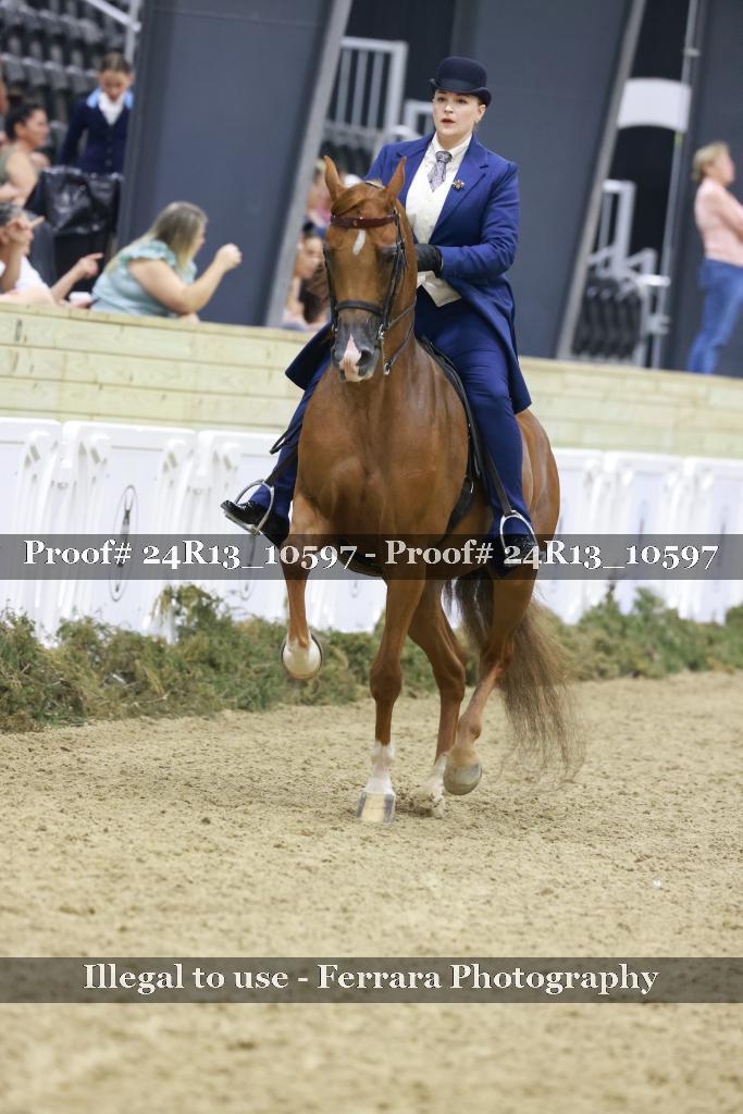 Proof 24R13_10597