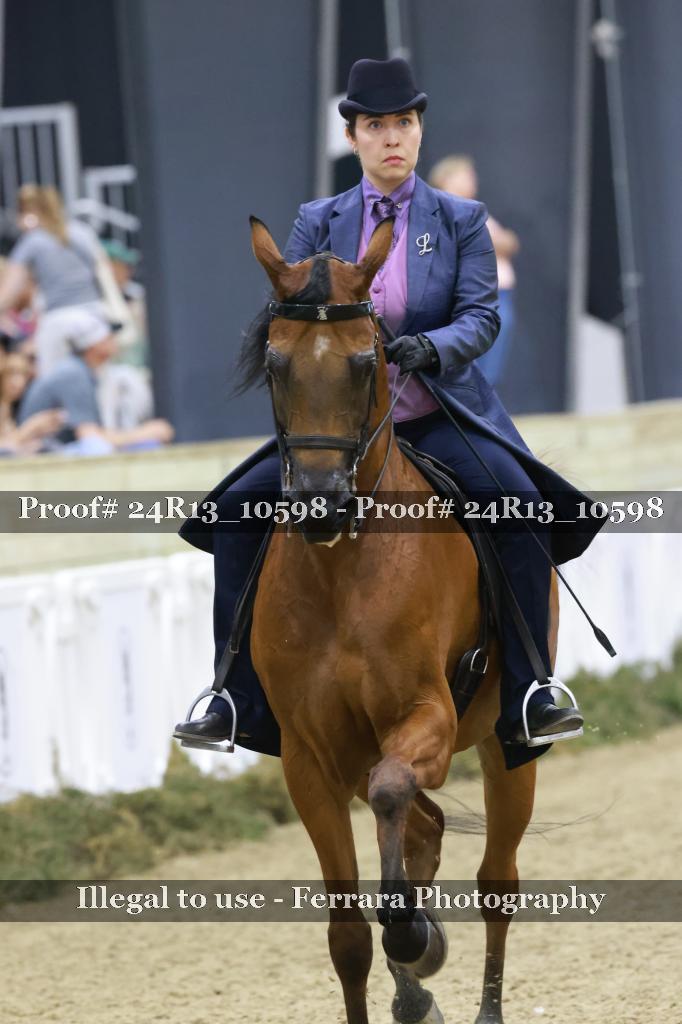 Proof 24R13_10598