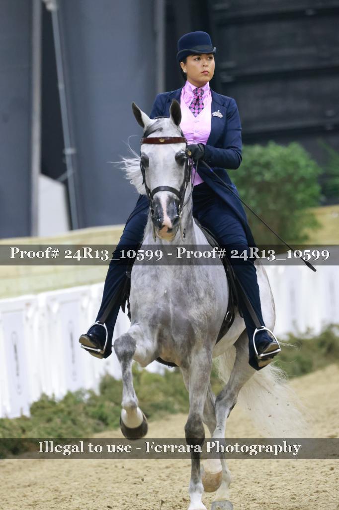 Proof 24R13_10599