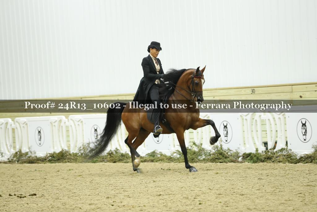 Proof 24R13_10602