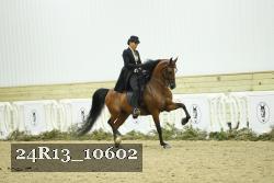 24R13_10602 proof