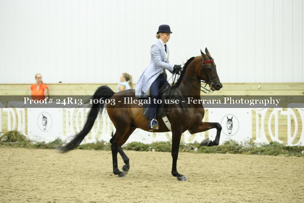 Proof 24R13_10603