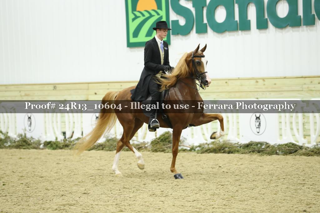 Proof 24R13_10604
