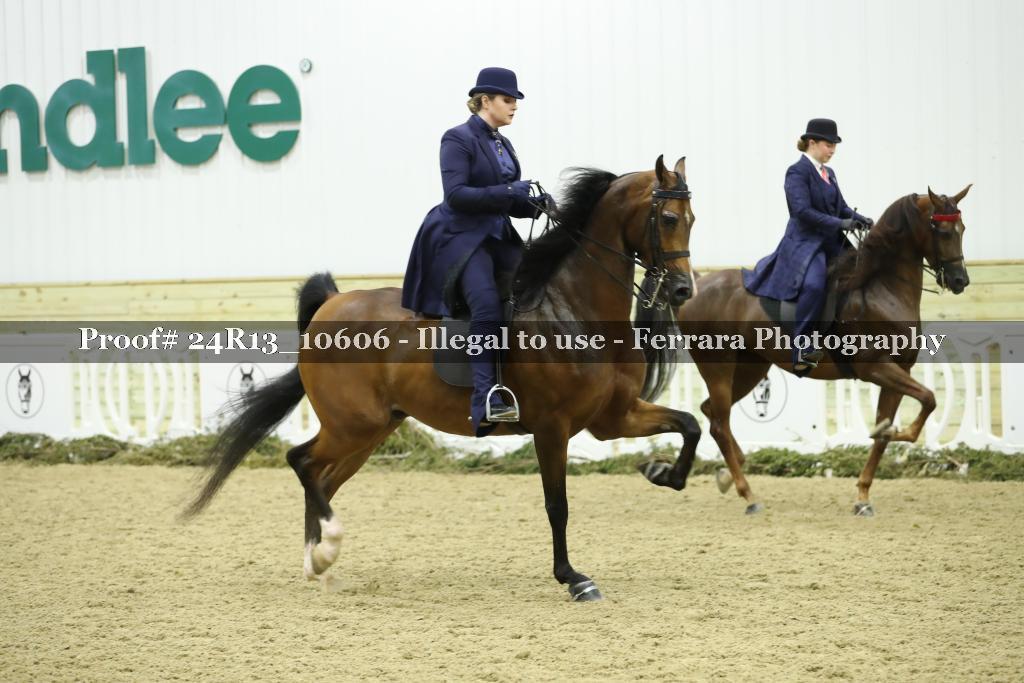 Proof 24R13_10606