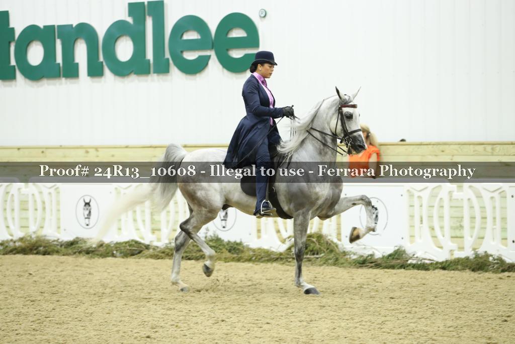 Proof 24R13_10608
