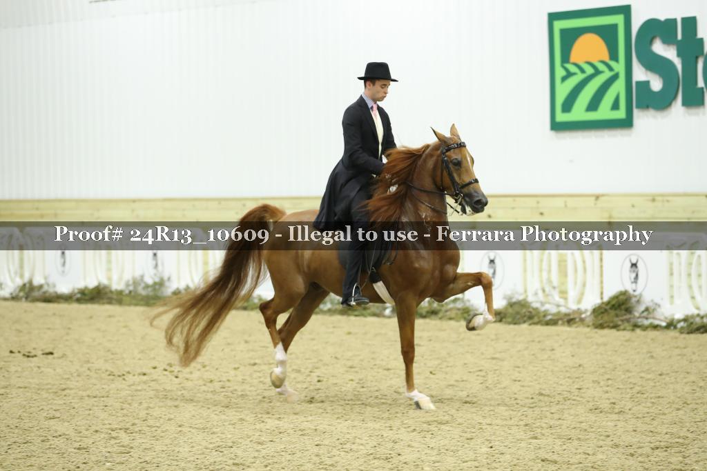 Proof 24R13_10609
