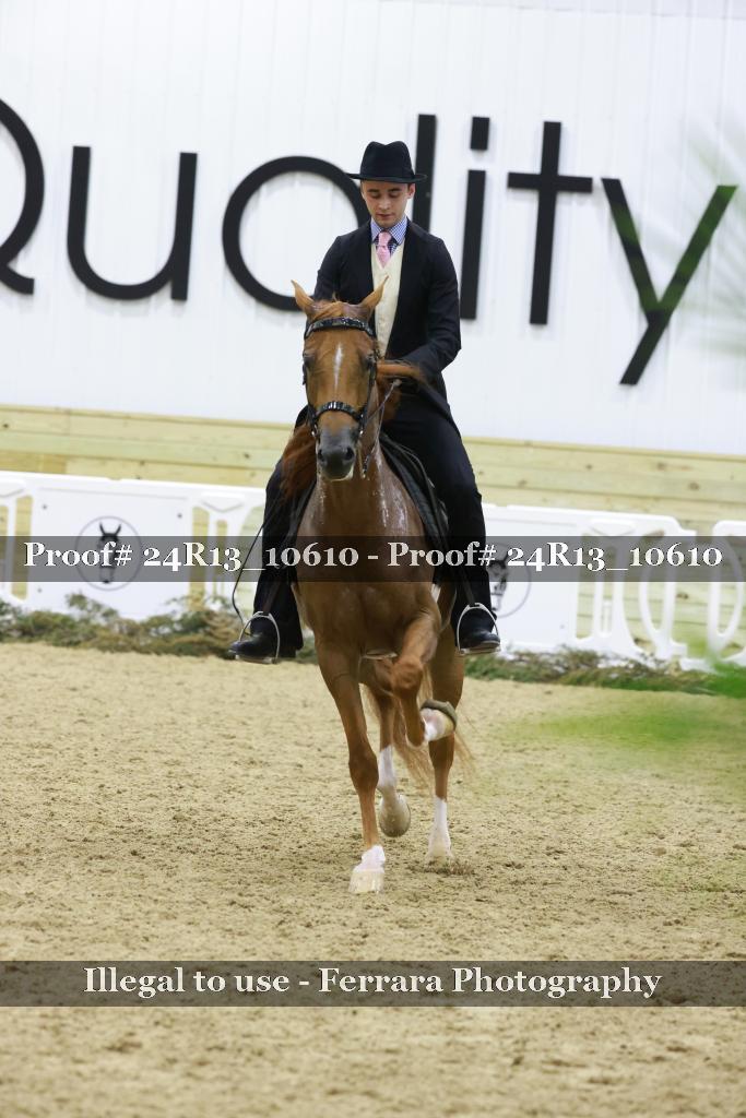 Proof 24R13_10610