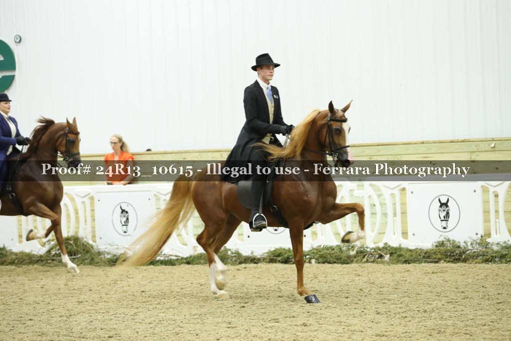 Proof 24R13_10615
