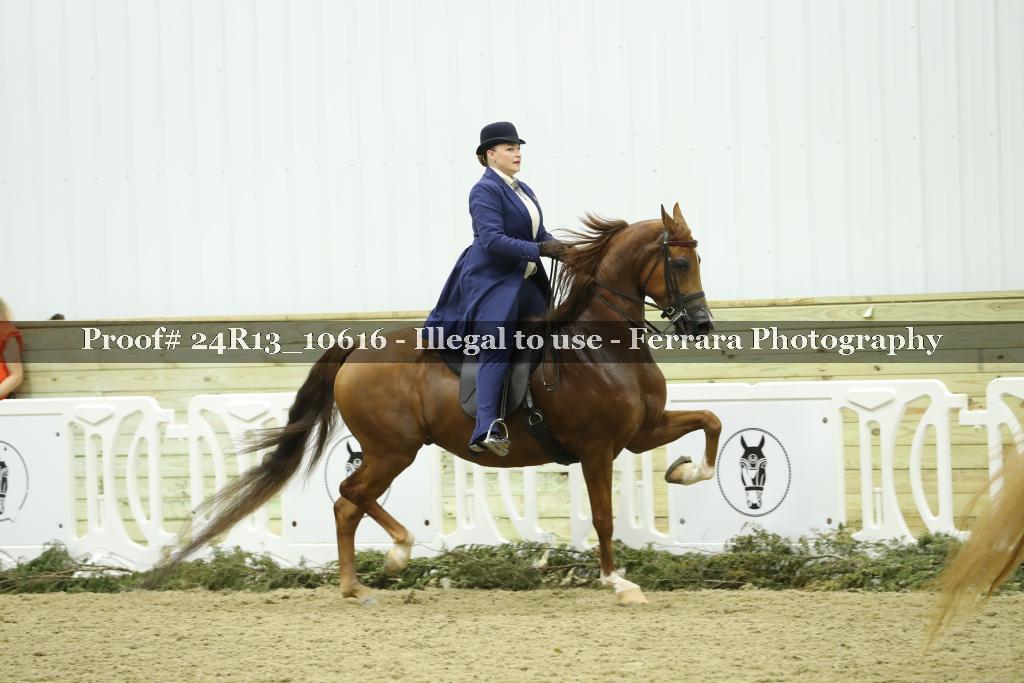 Proof 24R13_10616