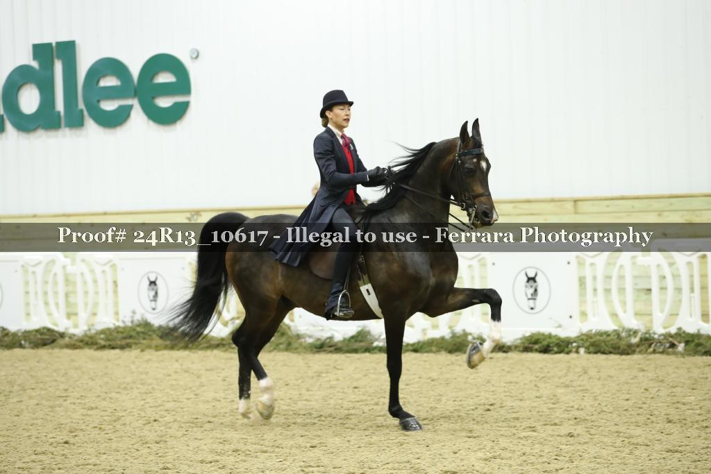 Proof 24R13_10617