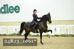 24R13_10617 proof