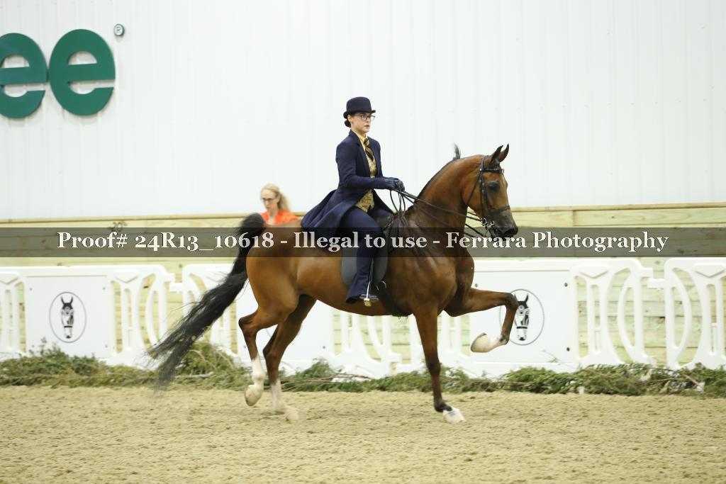 Proof 24R13_10618
