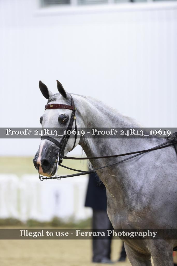 Proof 24R13_10619