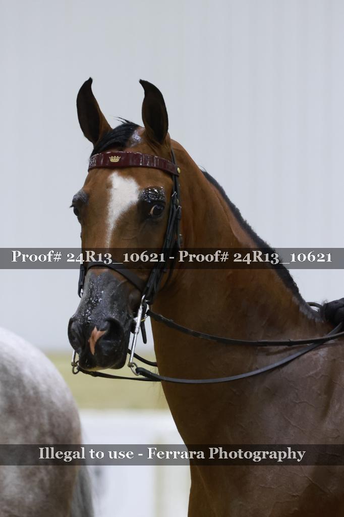 Proof 24R13_10621
